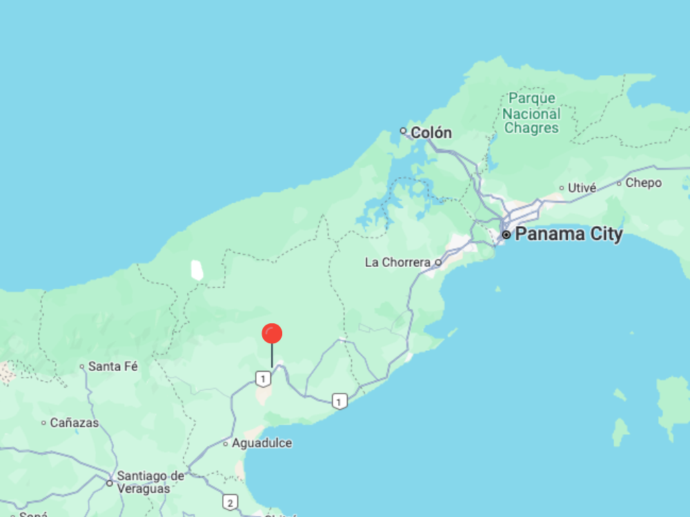 Rufina 100 fine Robusta Johann Jacobs Haus